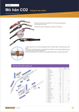 Catalogue trang 53 CO2 TORCH Product Information