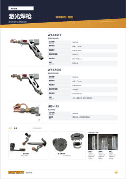产品目录第69页 LASER TORCH Specifications · Accessories